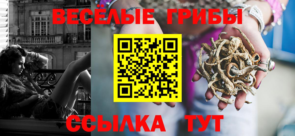 купить наркоту  Вход с VPN  Соликамск  Псилоцибиновые грибы MAGIC MUSHROOMS  Псилоцибиновые грибы прущие грибы 
